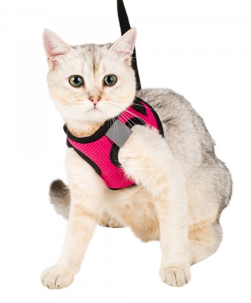 Pembe Kedi Tasması M Beden Göğüs Boyun Tasma Seti Sevk Kayışlı Terletmeyen Nefes Alan Reflektör